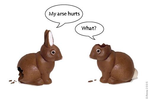 chocolate bunny. chocolate easter unny